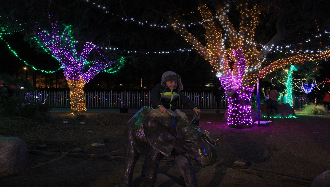 Tucson Zoo Lights 2024 Dre Margery