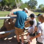 brush rhino behind the scenes