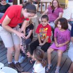 Outreach skink little critters