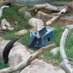 otter pinata