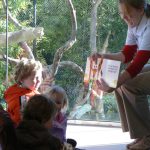 Little Critters 10