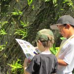 Young Explorers 13