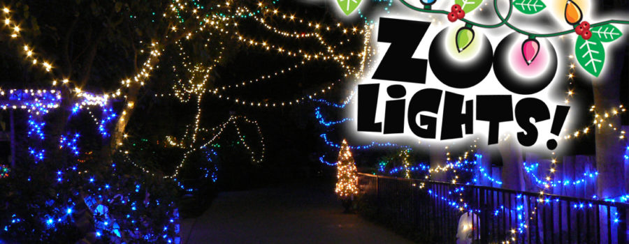 TEMPLATE_Zoo Lights 2013_2