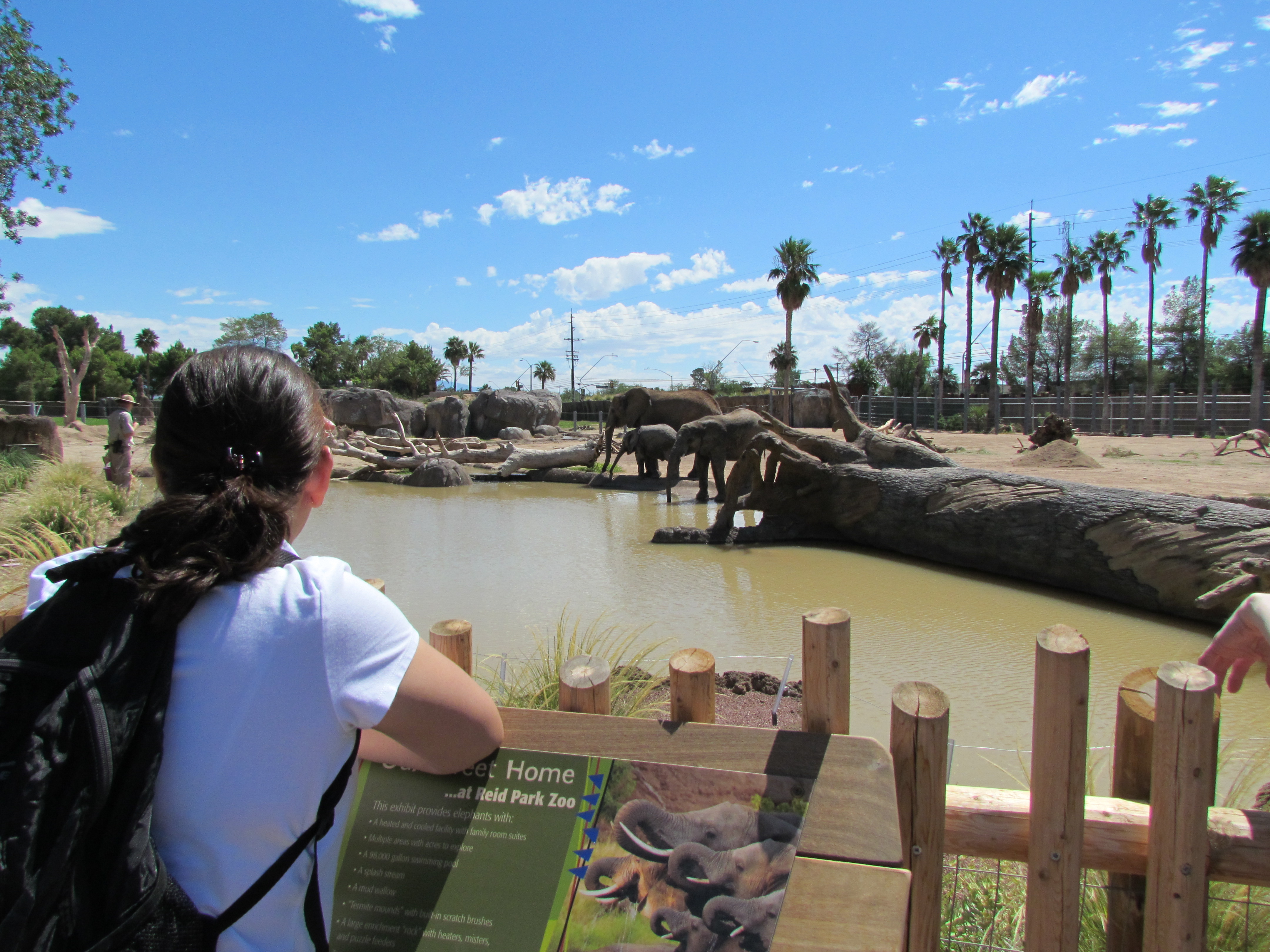 Reid Park Zoo Receives Accreditation Reid Park Zoo