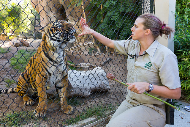 It’s National Zoo Keeper Week!