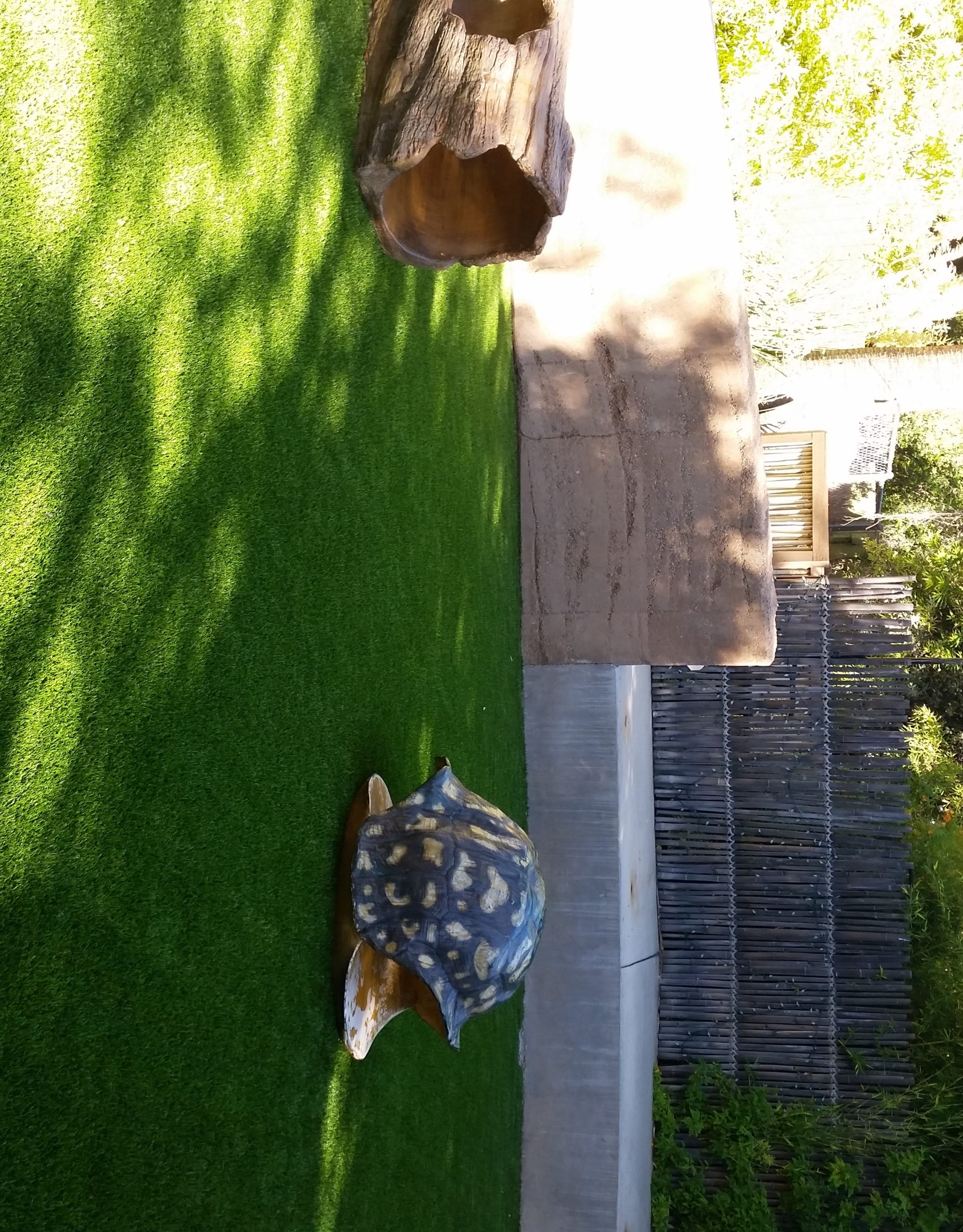 New Turf at the Conservation Learning Center
