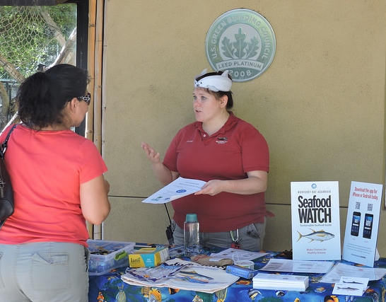 Help Vaquitas in honor of World Ocean’s Day