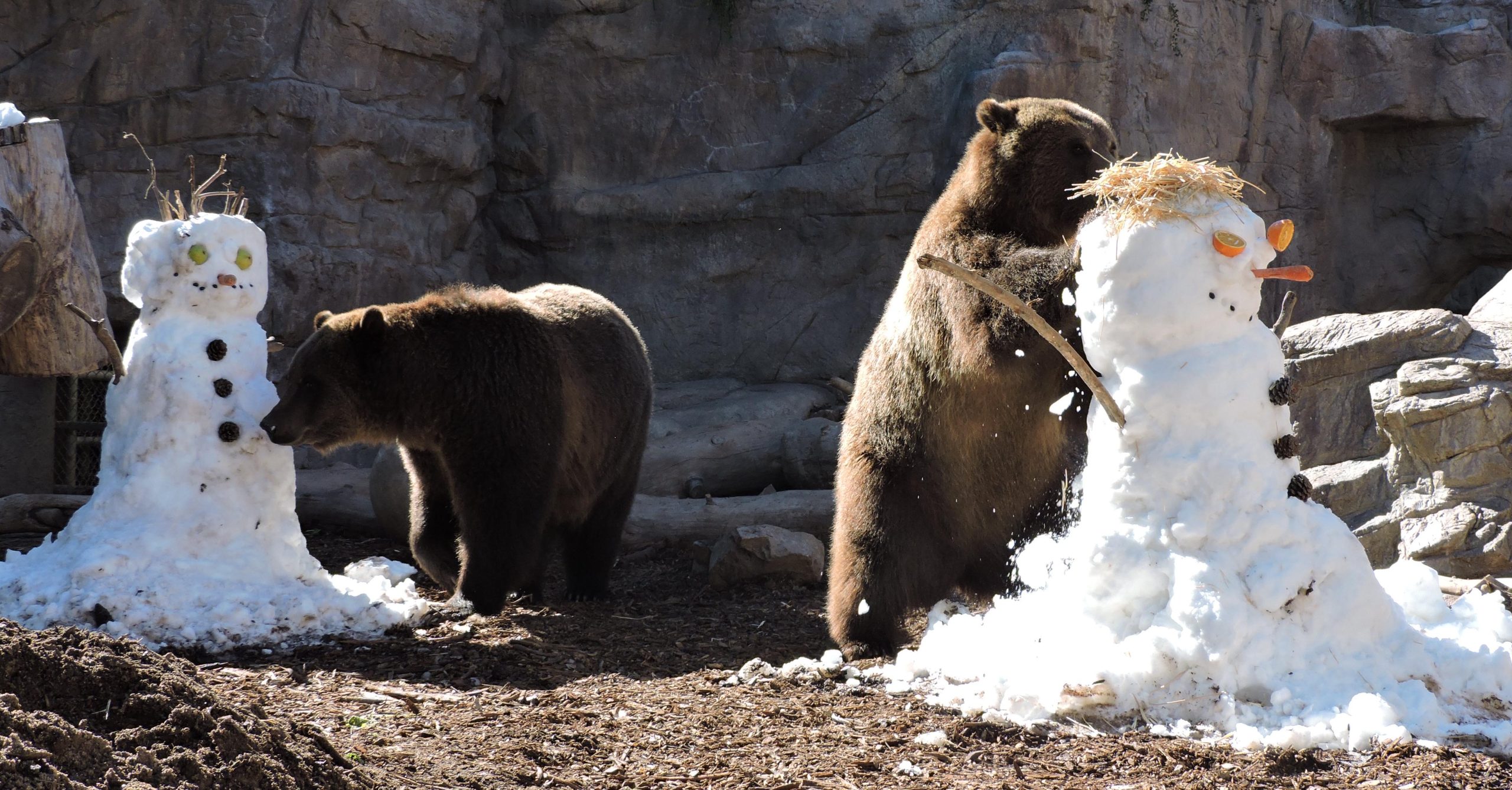 Things to do with Your Family at Reid Park Zoo for the Holidays
