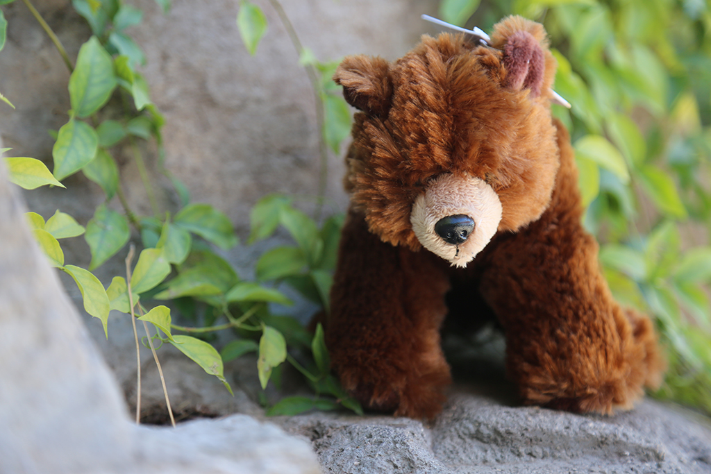 Show Your Valentine You’re Wild at Heart!