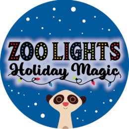 Zoo Lights 2019