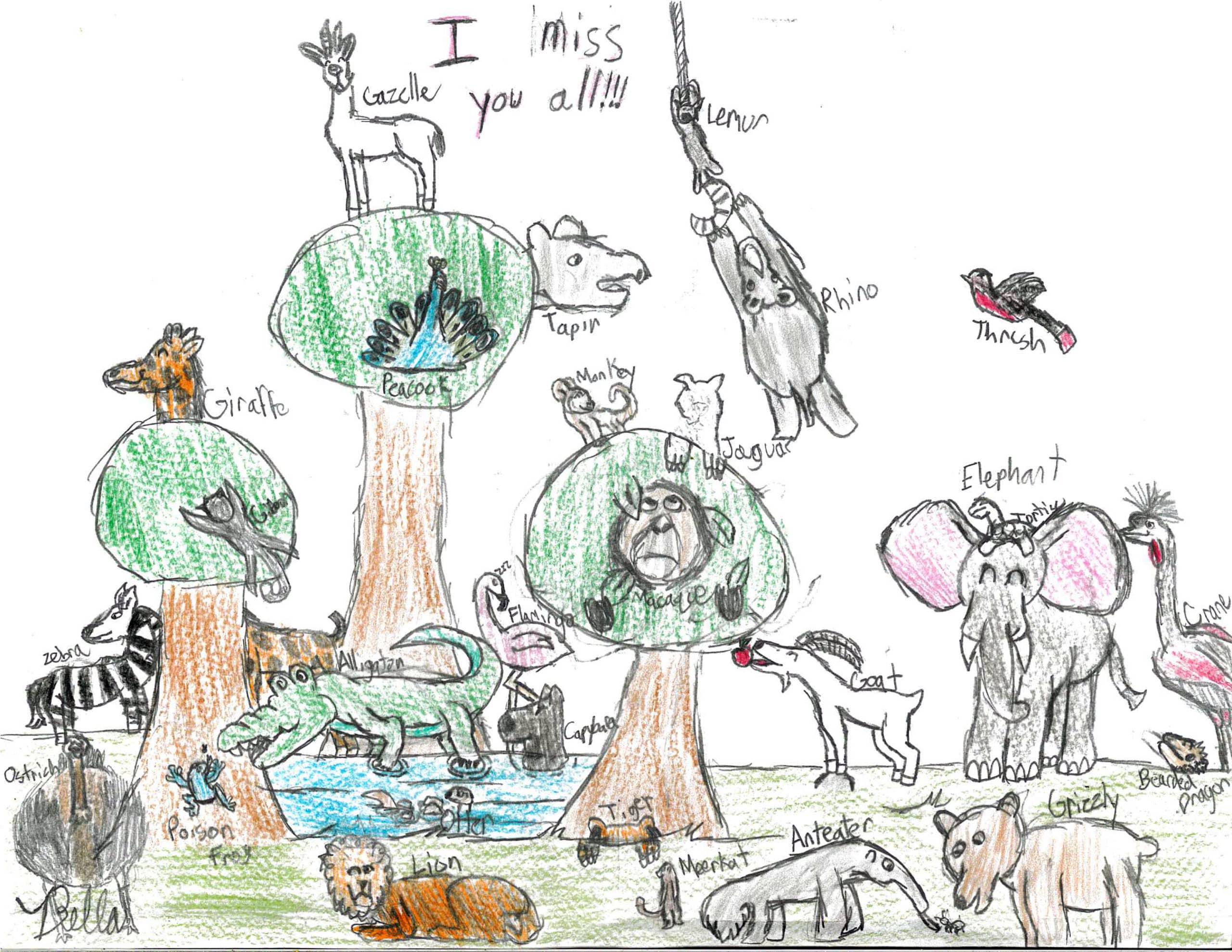 Guest Artwork