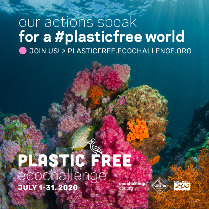 Plastic Free EcoChallenge Tips