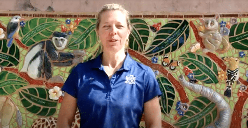 National Zoo Keeper Week