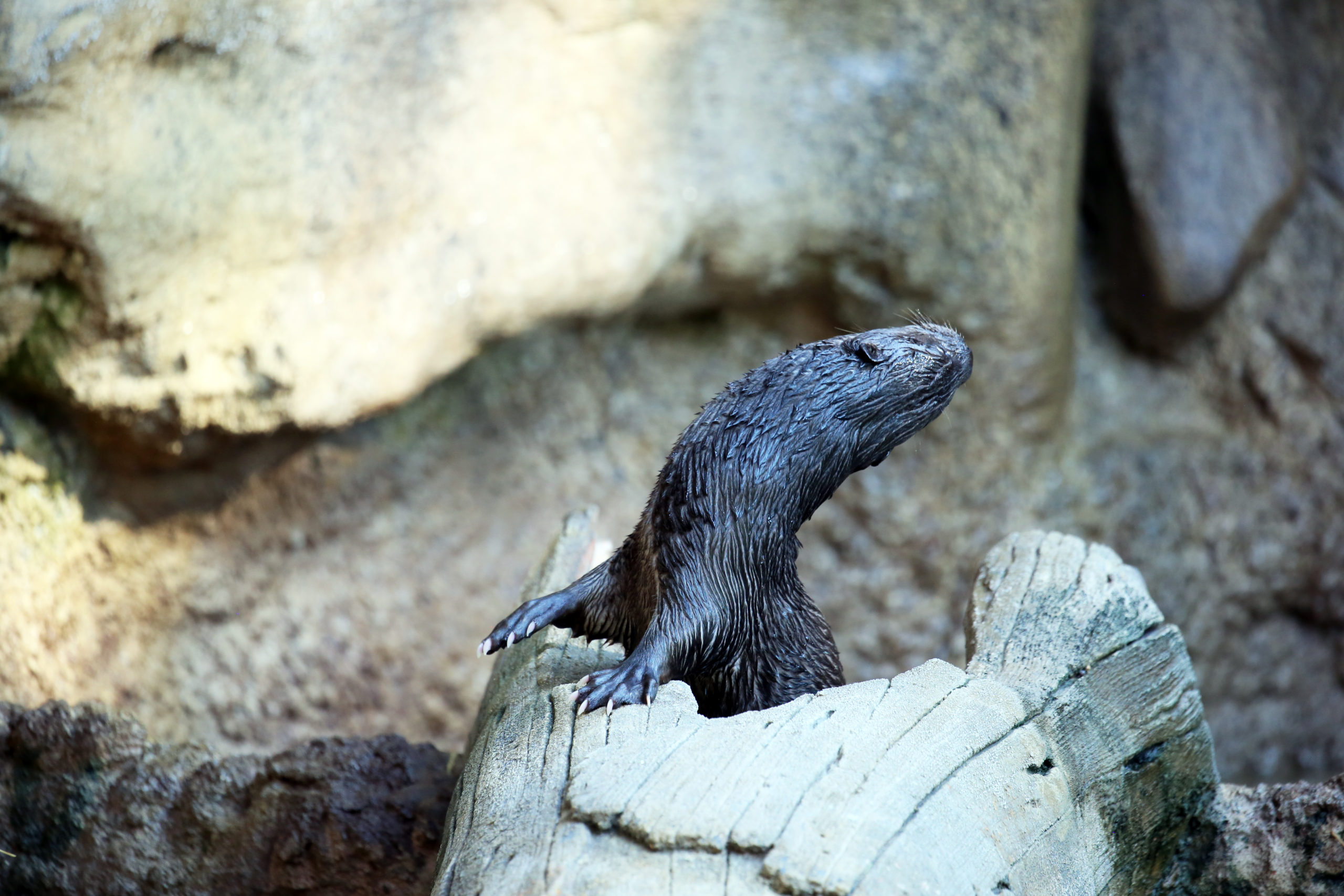 Monday Morning Stretch