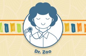 Dr. Zoo