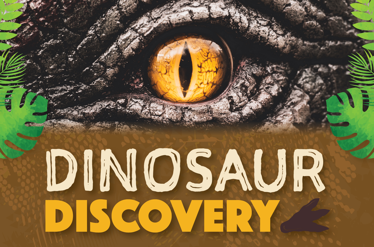 Amazing dino discoveries