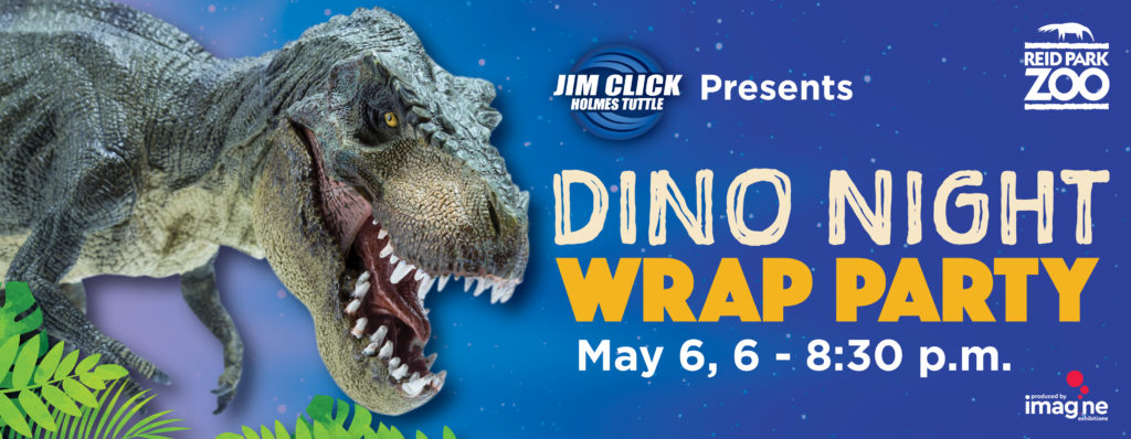 Dino Night Run Price, Promotion 2020