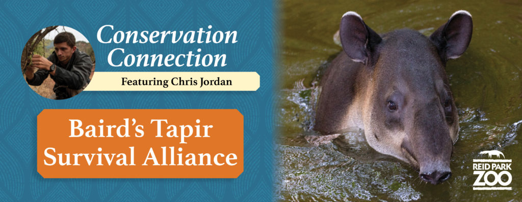 Conservation Connection: Tapir | Reid Park Zoo