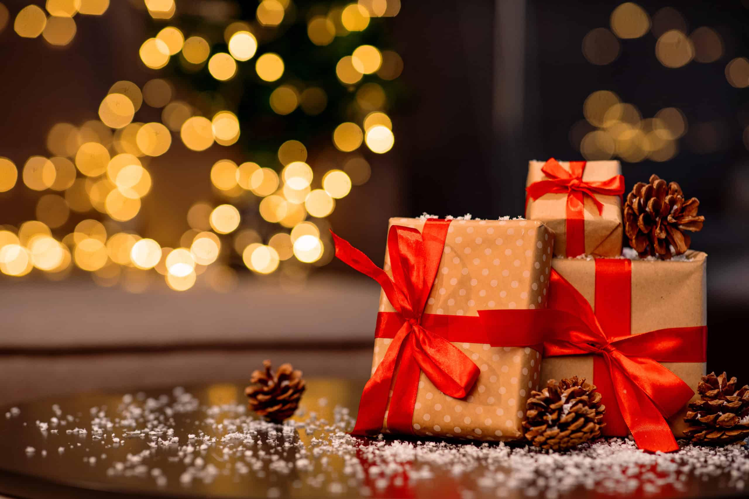 Zoo Gift Ideas For The Season Of Giving