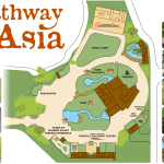 Reid Park Zoo to Break Ground on Pathway to Asia Expansion