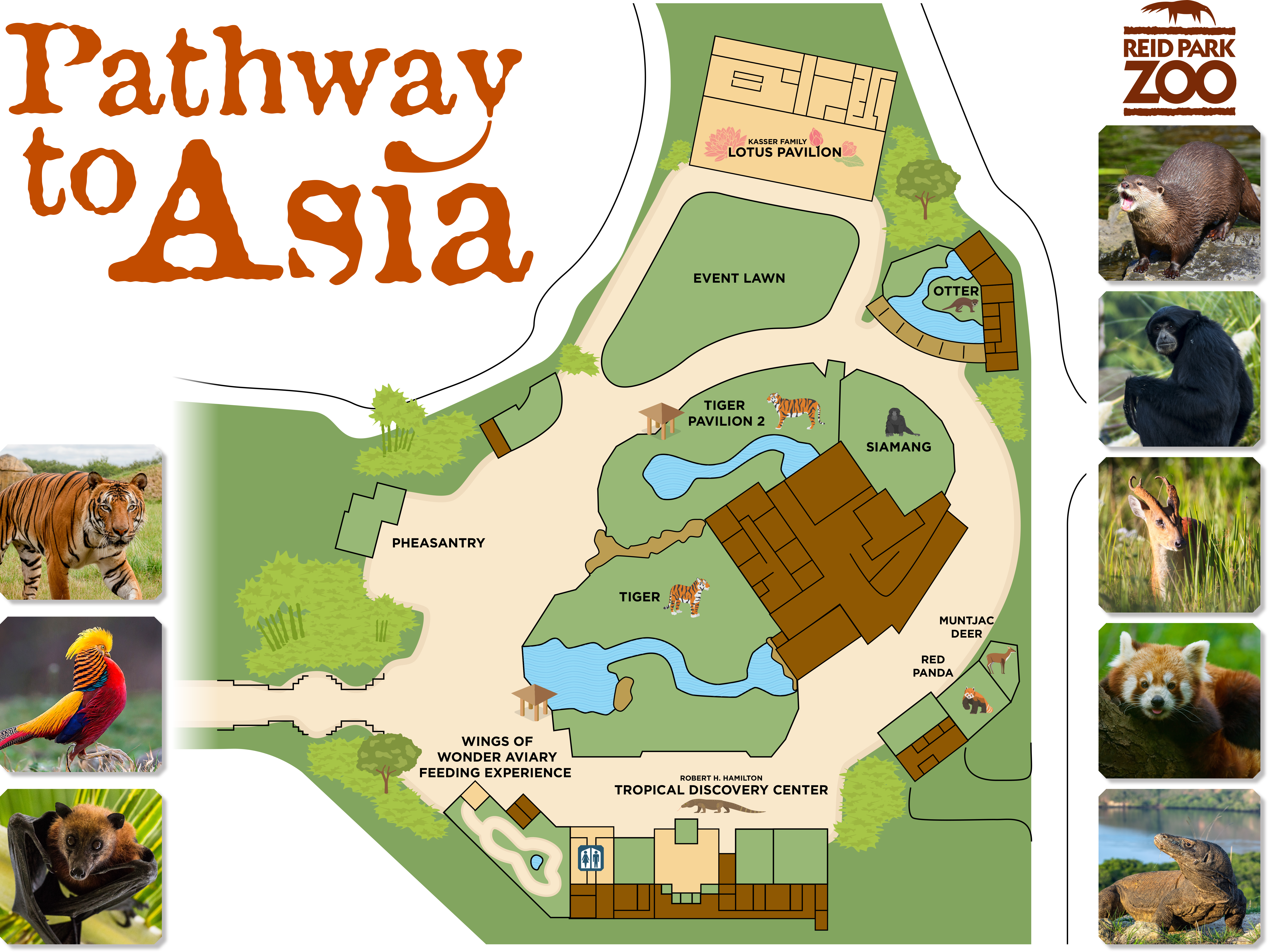 Reid Park Zoo to Break Ground on Pathway to Asia Expansion