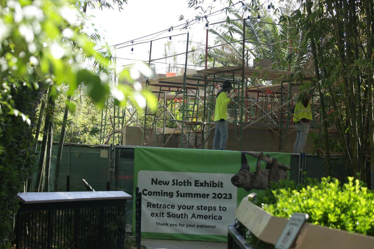 Project Update