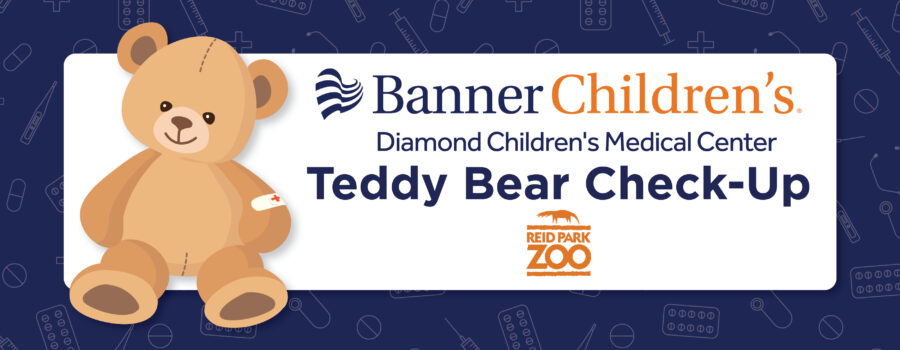 Email_Web – Banner Teddy Check-Up (1)