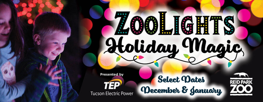 Email_Web Header – ZooLights 20232 (1)