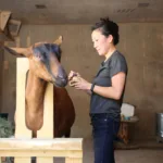 Reid Park Zoo Veterinary Team Needles in on a New Treatment for an Elderly Goat