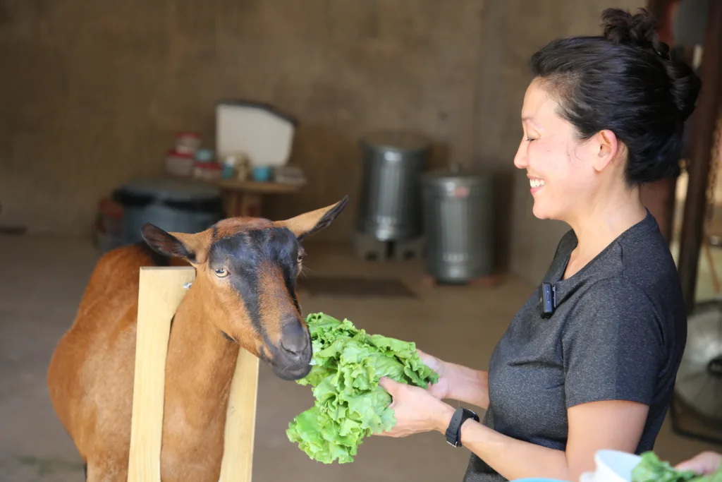 Dr Lauren with Goat Ari and lettuce