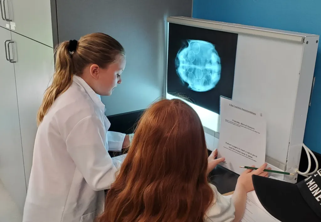children looking at medical imaging