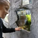 Happy Holidays and the Latest Developments from Reid Park Zoo