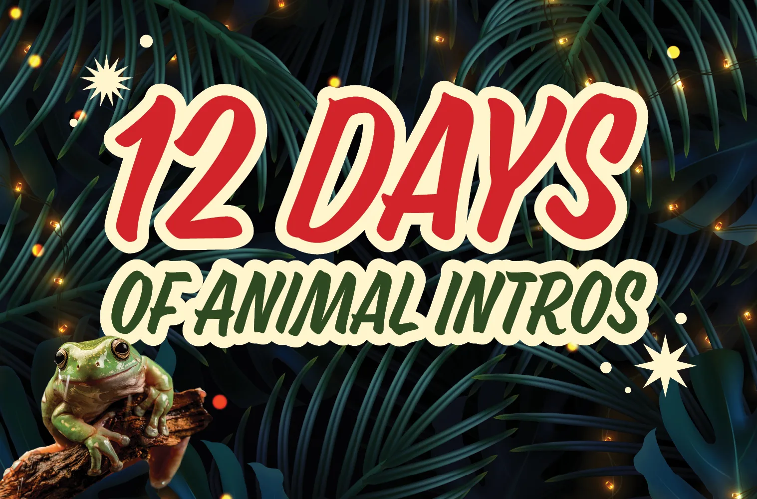 12 Days of Animal Intros