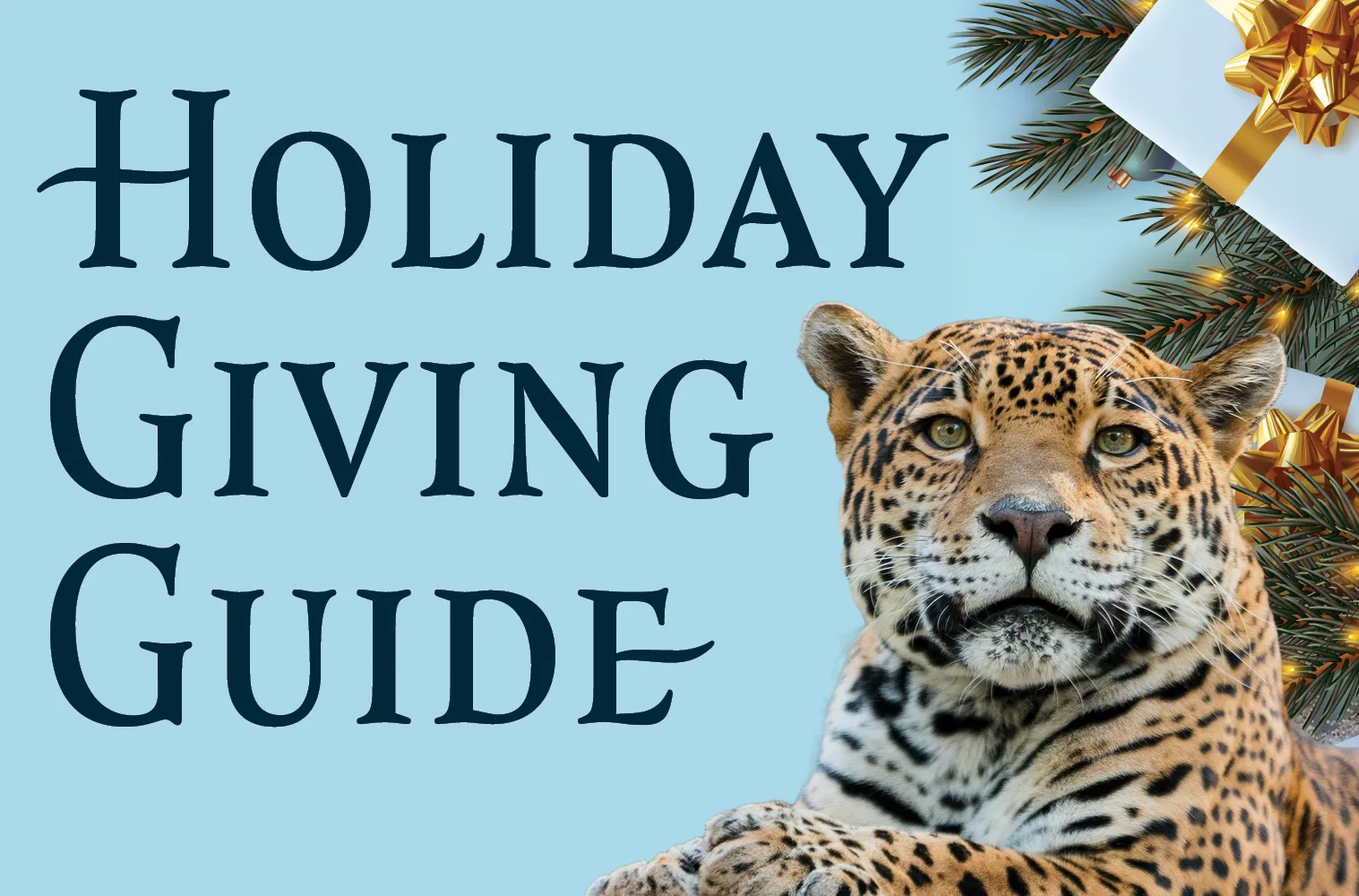 2024 Holiday Giving Guide