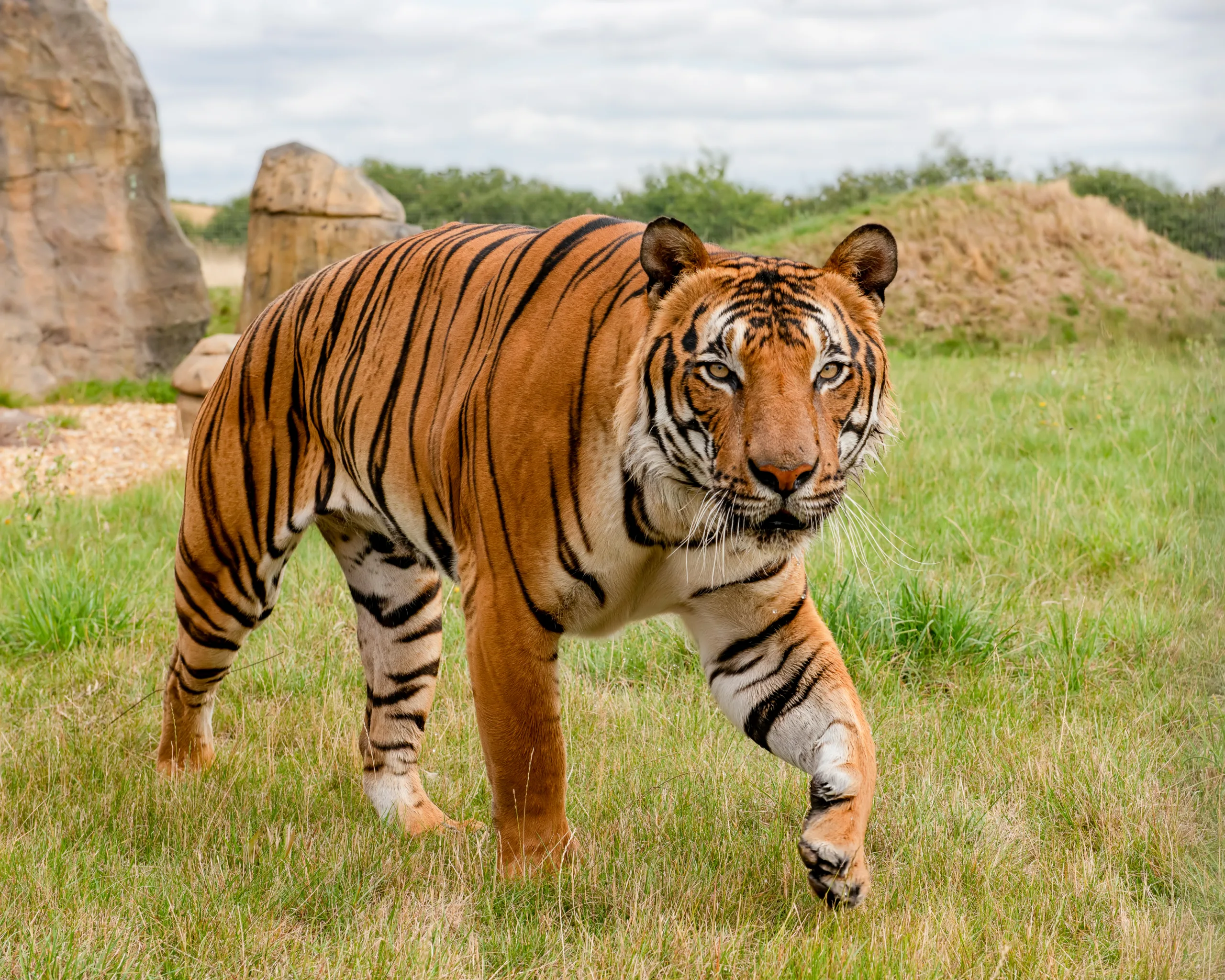 Adopt an Animal – Reid Park Zoo – 2024