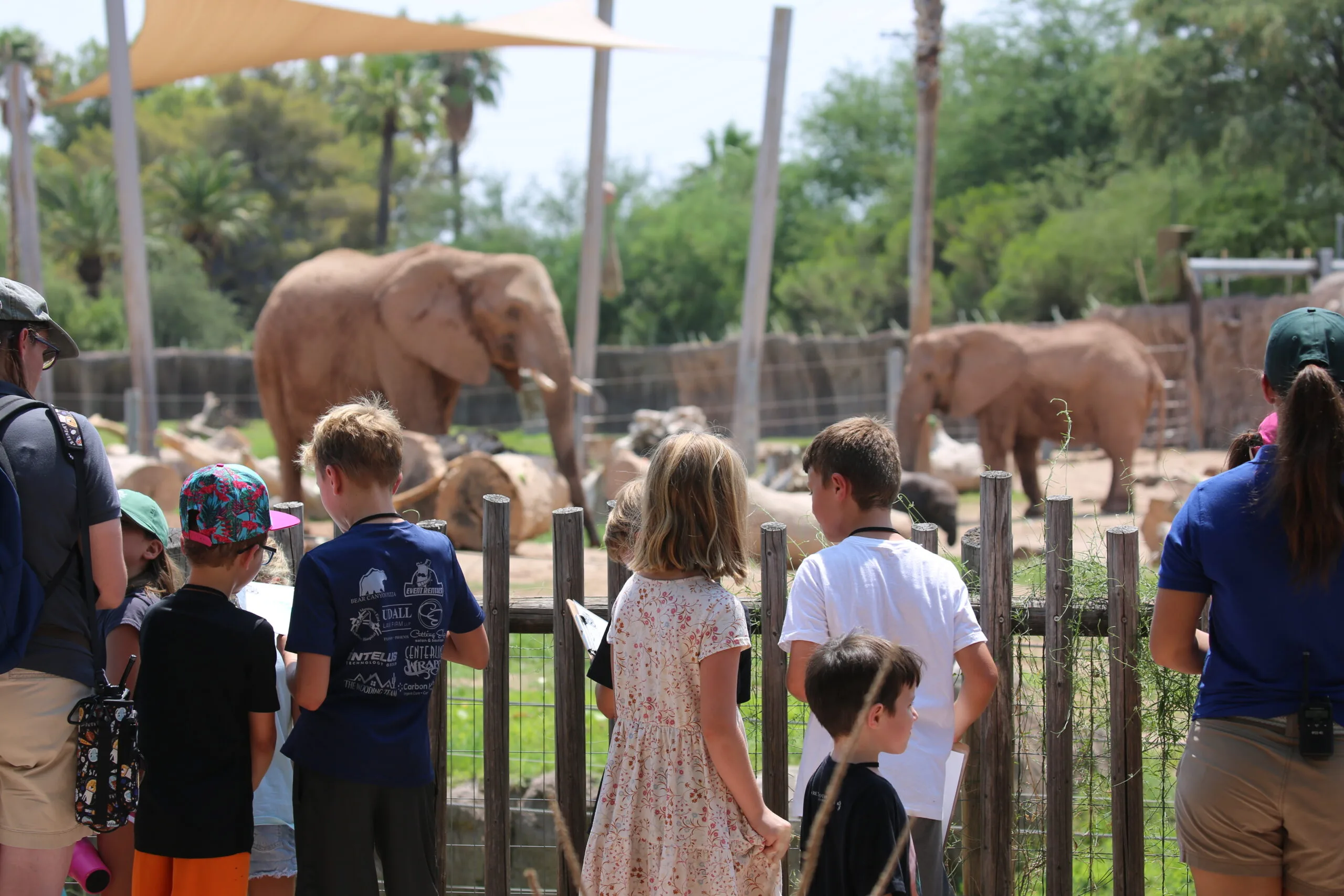 Summer Camp 2025 Registration for Grades 1-5