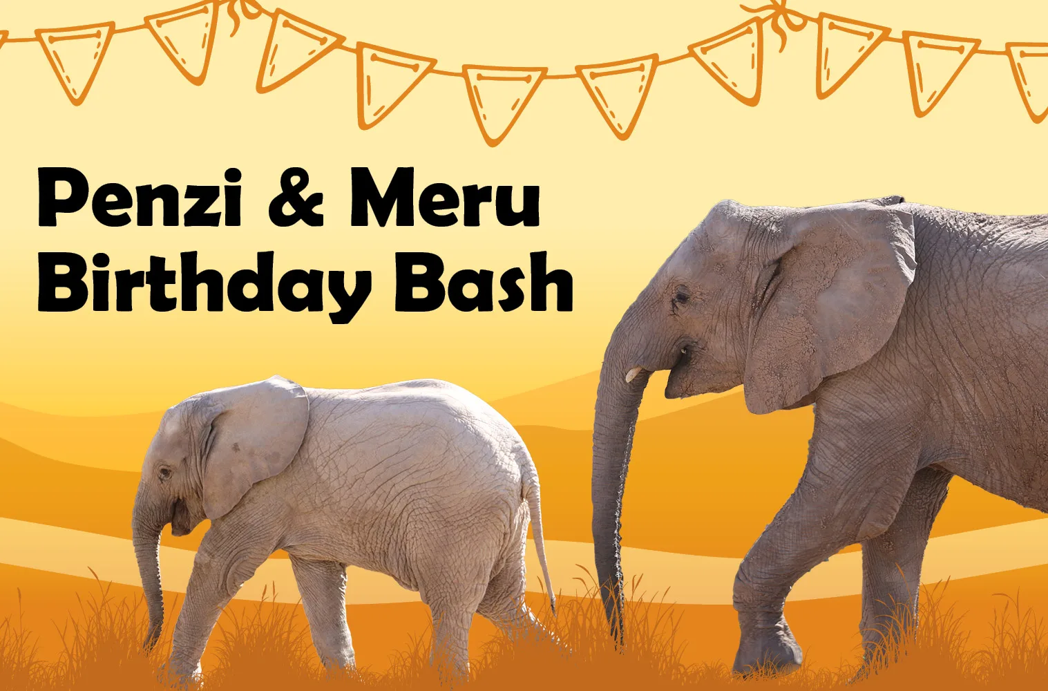 Web thumb penzi meru birthday 2025
