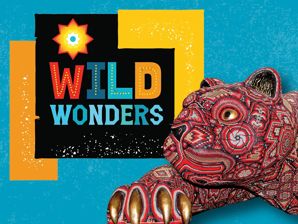 Web thumb wild wonders 2025 v.2
