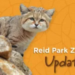 The Latest Developments from Reid Park Zoo