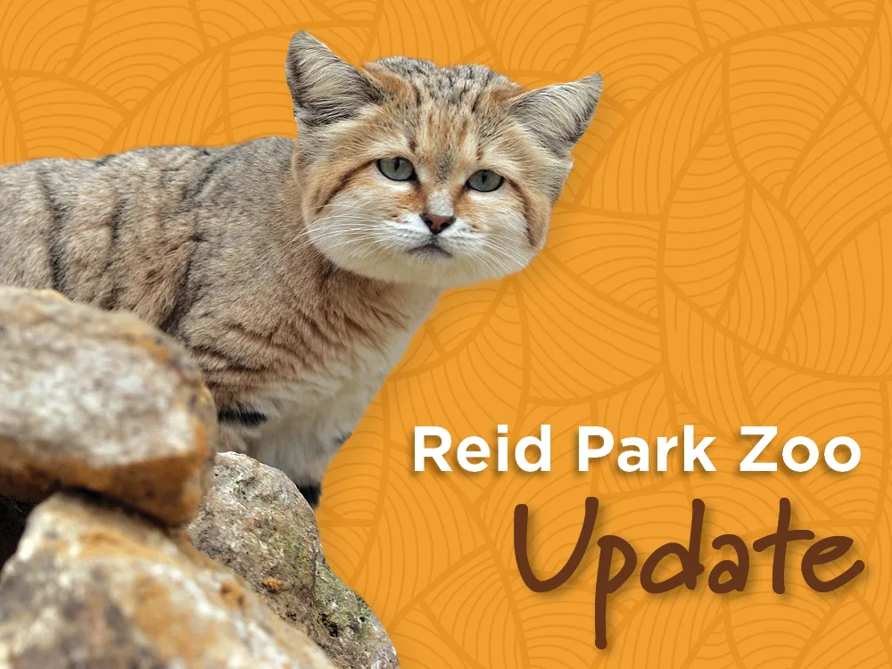 The Latest Developments from Reid Park Zoo
