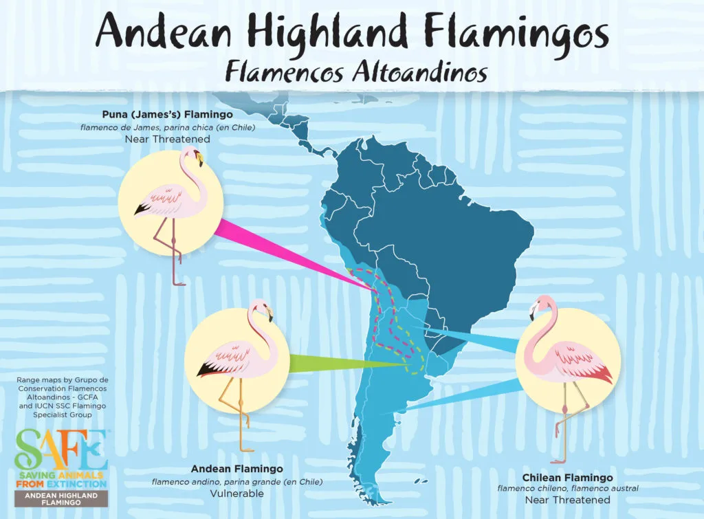 Flamingo safe ahf only range map 1024x755