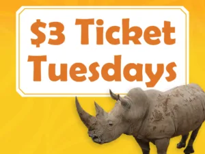 $3 Ticket Tuesdays in June and July