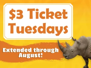 $3 Ticket Tuesdays