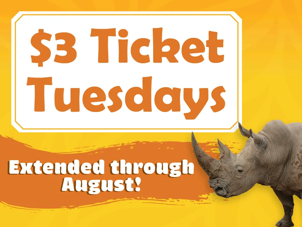 $3 Ticket Tuesdays