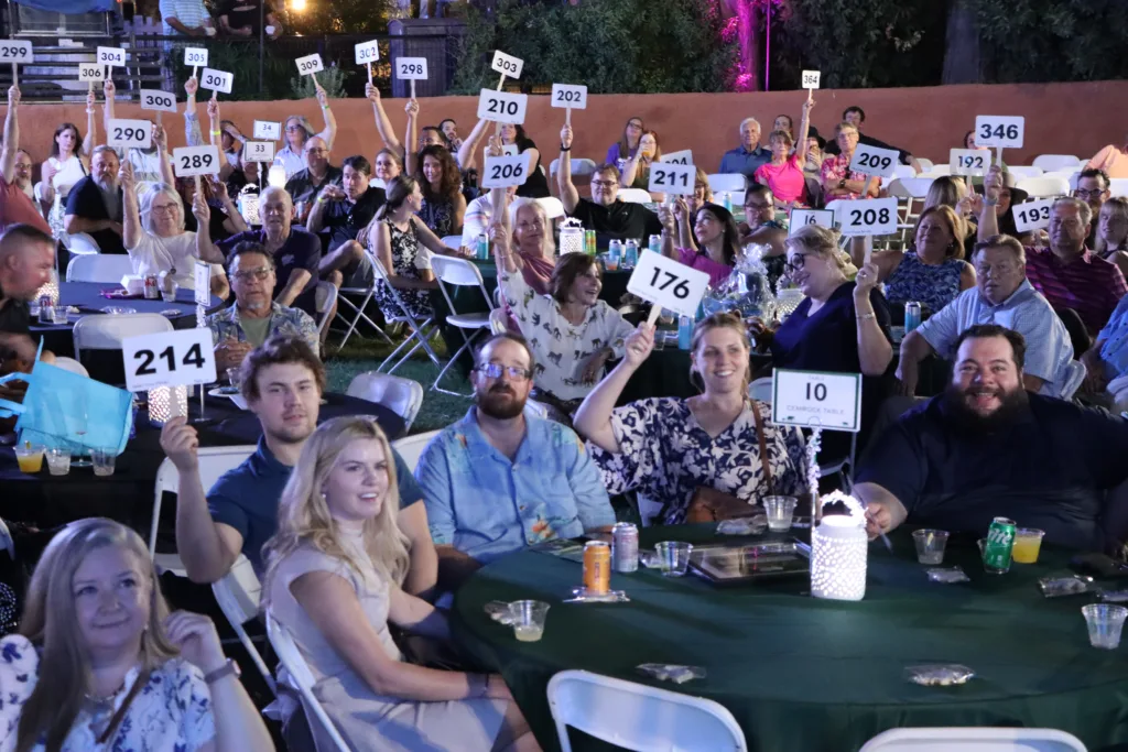 Auction audience bidding numbers