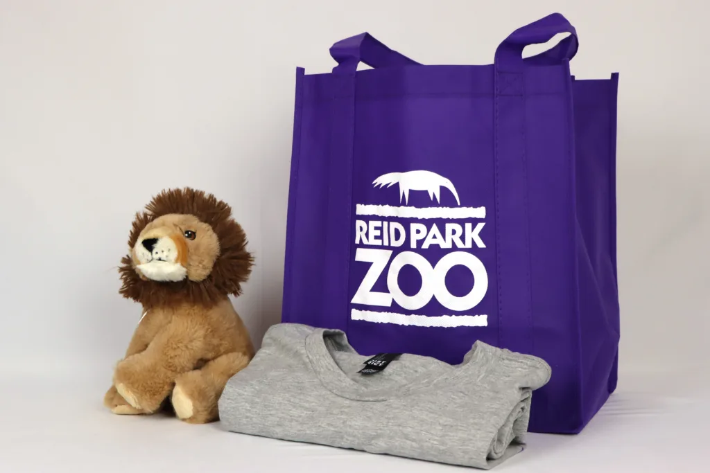 Lion leader package tshirt
