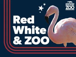 Red, White, and Zoo: July 4