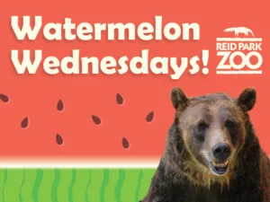 Watermelon Wednesdays