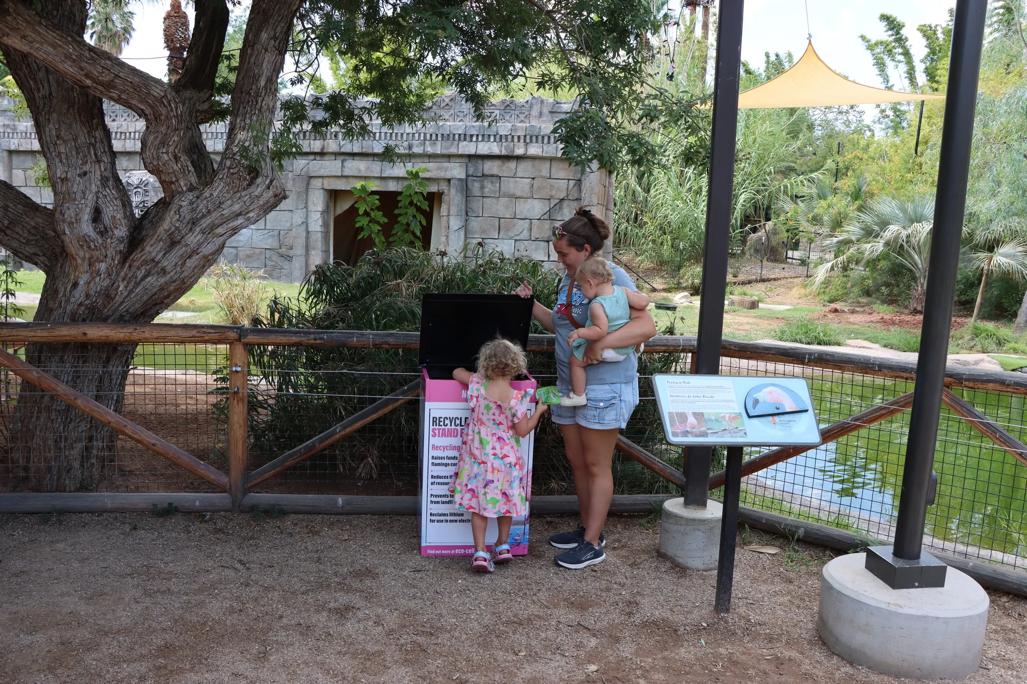 Recycle Your Old Phone and Support Flamingo Conservation in the Process! 