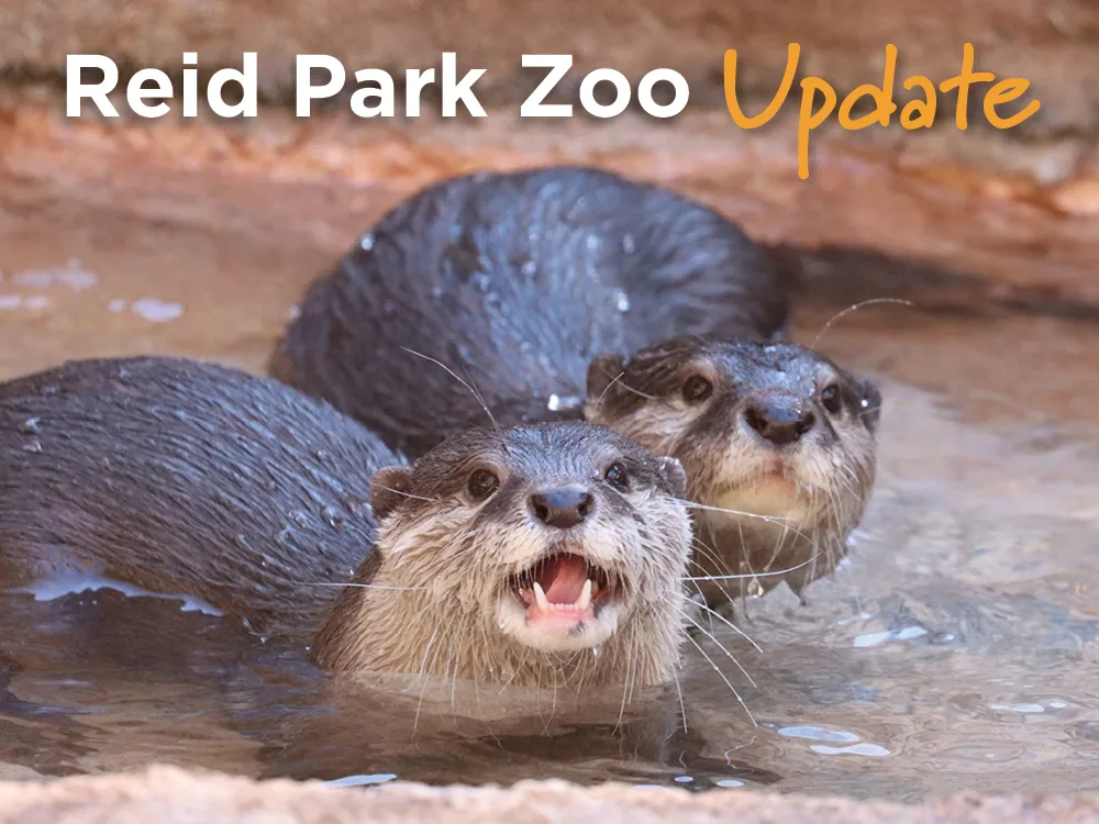 July 2025 update email header 3